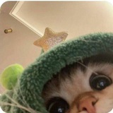 Telegram profile photo for dart1