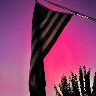 Telegram profile photo for EriQa_EMC 🇺🇸🐸