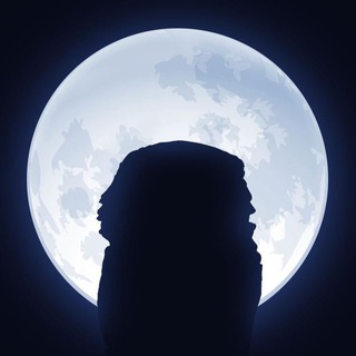 Telegram group profile photo for NOT Wise Chat