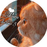 Telegram profile photo for ↬̶̶ ⊆ ᑭᣔᣴᣔᒄᐤᑦᏚ ⊇↰