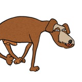 Telegram profile photo for Newton: Kamala Harris' Dog