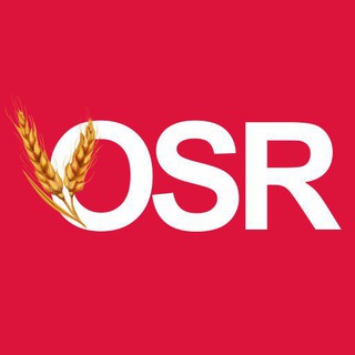 Telegram profile photo for OSR - Новини Кіровоградщини 🇺🇦