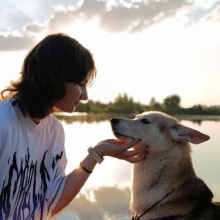 Telegram profile photo for Мокрый пёс🐶