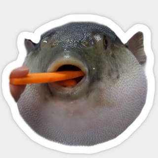 Telegram group profile photo for Рыба | Икра | Морепродукты