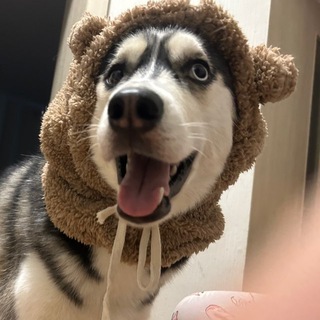 Telegram profile photo for Гараж