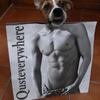 Telegram profile photo for qust