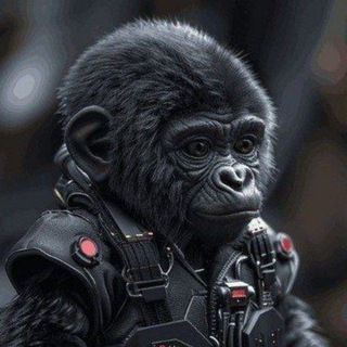 Telegram profile photo for CRYPTO TORPEDA 🦍