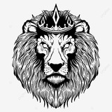 Telegram profile photo for 🇵🇸The Crow🇩🇿