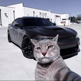 Telegram profile photo for зоопарк