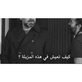 Telegram profile photo for - قناة تمويل '