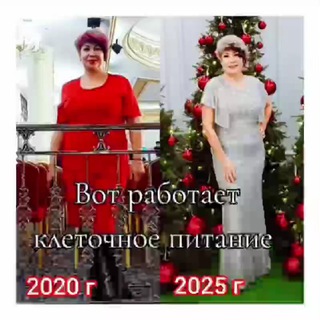 Telegram profile photo for Чат по здоровью по клеточному питанию и фито препаратам от компании Success Together ❤️