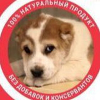 Telegram profile photo for Сытая БУДКА