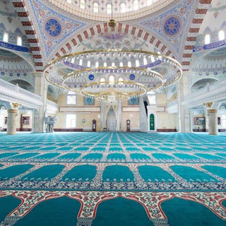 Telegram profile photo for Hayrulloh Hamidov
