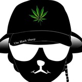 Telegram profile photo for TheBlackSheep😎
