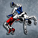 Telegram profile photo for Вольная Борьба