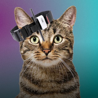 Telegram profile photo for такмэд ирл