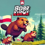 Telegram profile photo for Bober Cwaniak