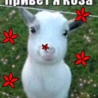 Telegram profile photo for ПОЛИНА КАМНЕВЕДОВА