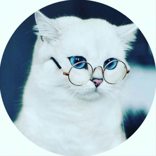 Telegram profile photo for Светлые Слова