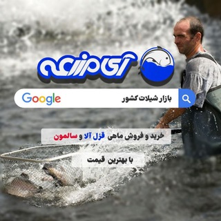 Telegram profile photo for آیمزرعه | بازارشیلاتکشور