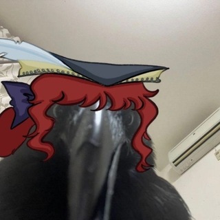 Telegram profile photo for голубятня