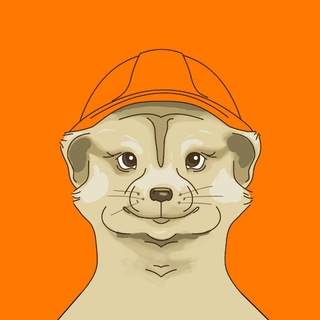 Telegram profile photo for Стройка сурикатов