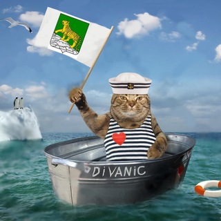 Telegram profile photo for Диванный флот | Вести из Владивостока