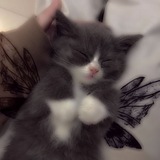 Telegram profile photo for Come what may...