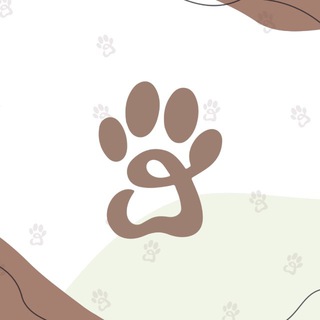 Telegram profile photo for GroomShop / груминг🐕🐾