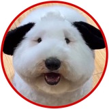 Telegram profile photo for 🐶 МИЛОТА.ХВОСТА 🐕