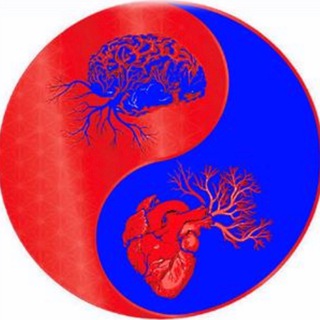 Telegram profile photo for Liverpool Freedom & Health