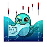 Telegram profile photo for Capital Whale news 💻