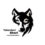 Telegram profile photo for •تبردونی شری