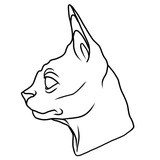 Telegram profile photo for BARAXOLKA SHAOVIRAN