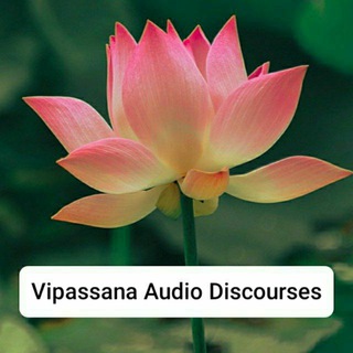 Telegram profile photo for Vipassana Audio Discourses