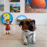 Telegram profile photo for Dolli Dog