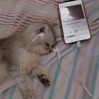 Telegram profile photo for https://gr.ru