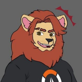 Telegram profile photo for Dbear's Forest