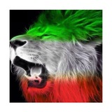 Telegram profile photo for کانال ایرانیان