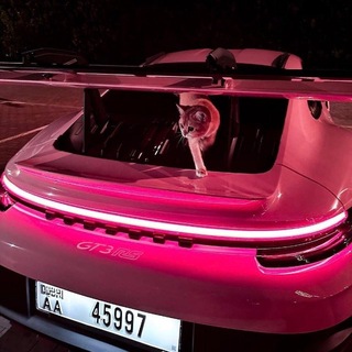 Telegram profile photo for 深夜朴社长树洞交友