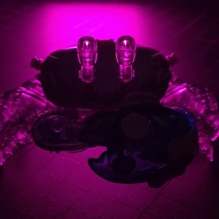 Telegram profile photo for Коллекционер пластика 🦀