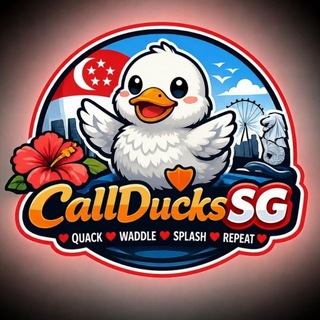 Telegram profile photo for CALL DUCKS SG 🐣🪿
