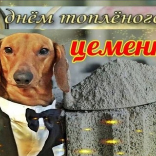 Telegram profile photo for жизнь барончика