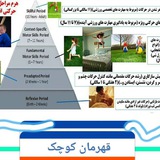 Telegram profile photo for قهرمان کوچک سالن تخصصی کودکان
