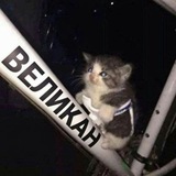 Telegram profile photo for kurwa_shitpost