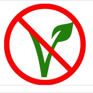 Telegram profile photo for Case Against Veganism