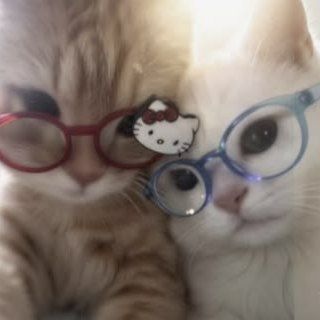 Telegram profile photo for ولا كأنه حَصل.
