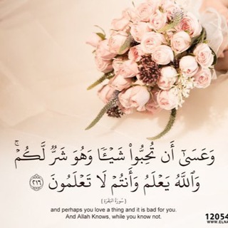 Telegram profile photo for نعمـــة الابتـــلاء