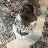 Telegram profile photo for 14 π
πππππππ