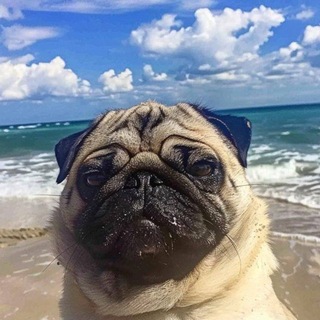 Telegram profile photo for ma1n room